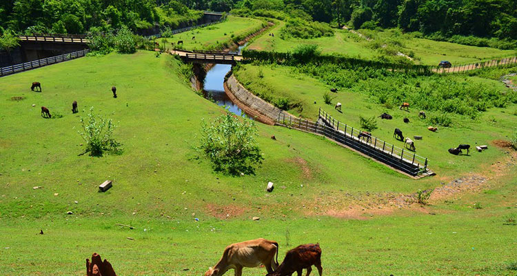 Places to Visit Abbey Falls, Coorg