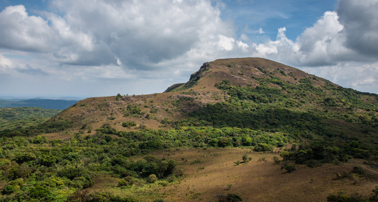 Places to Visit Kotebetta Trek / Peak, Coorg