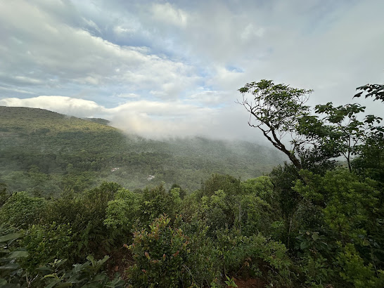 Brahmagiri Wildlife Sanctuary Coorg
