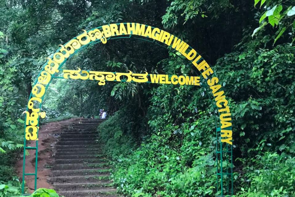 Brahmagiri Wildlife Sanctuary