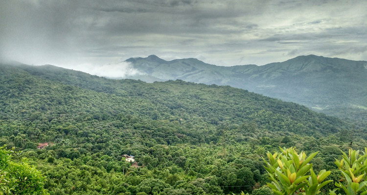 tadiandamol trek coorg distance