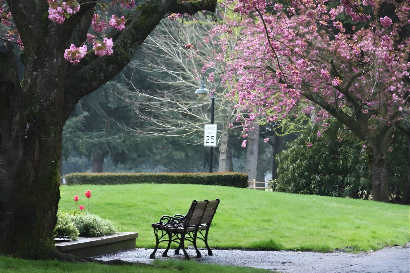 Dreamy Bangalore to Coorg Tour Package for 2 Nights & 3 Days with Itinerary & Price