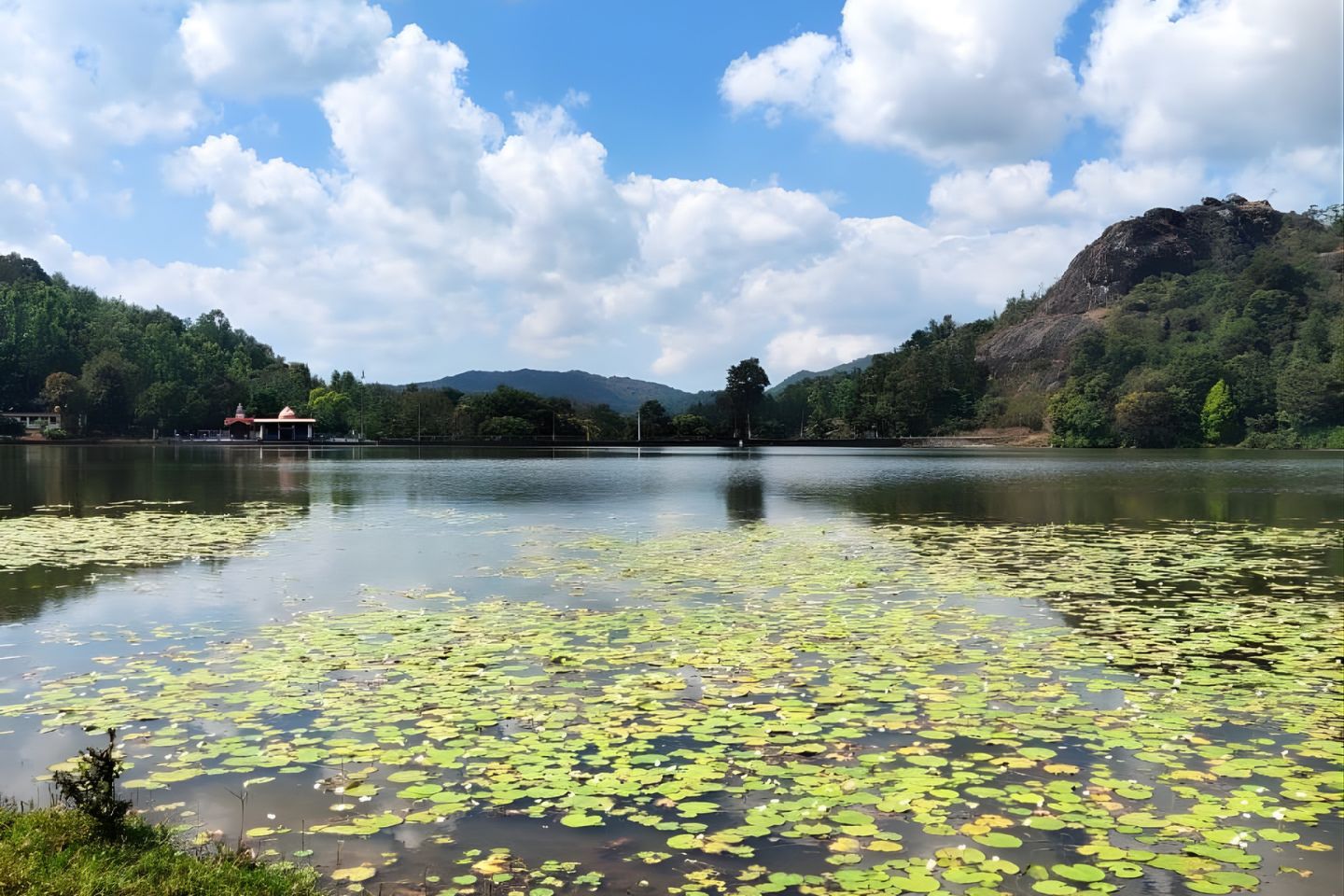 Coorg Local Sightseeing Tour Packages with Price & Itinerary