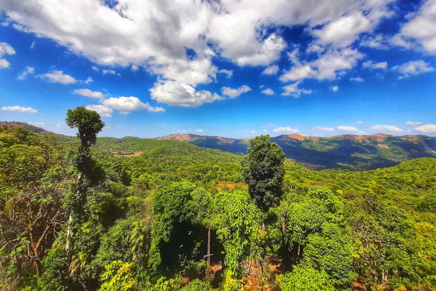 Coorg Tourism, Coorg Tour & HolidayPackages