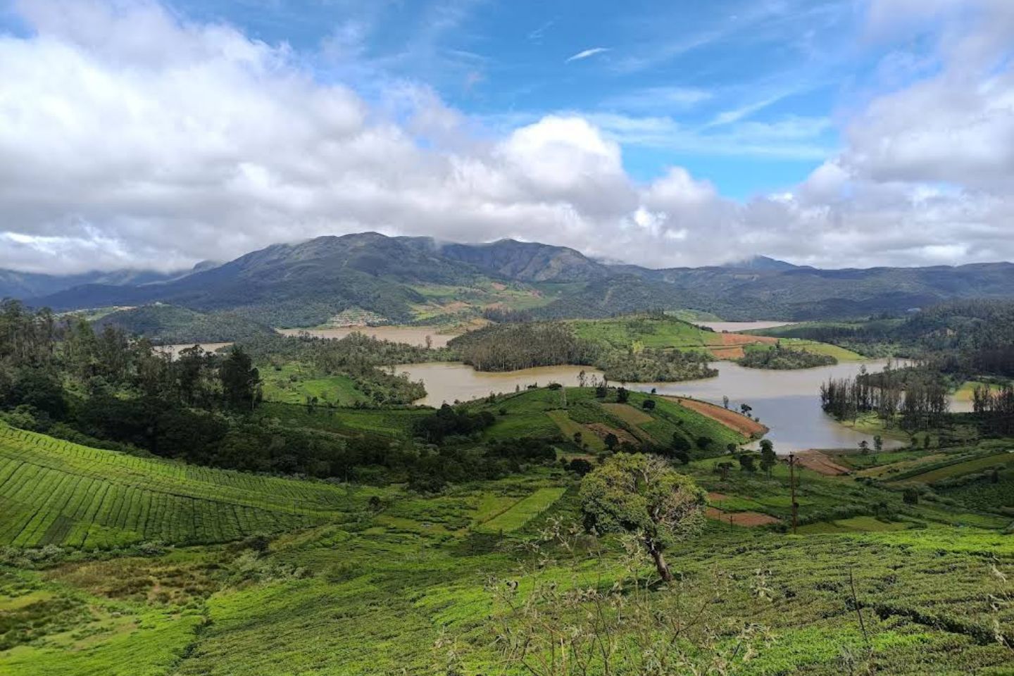 Mysore Coorg Ooty Tour Packages with Price & Itinerary 