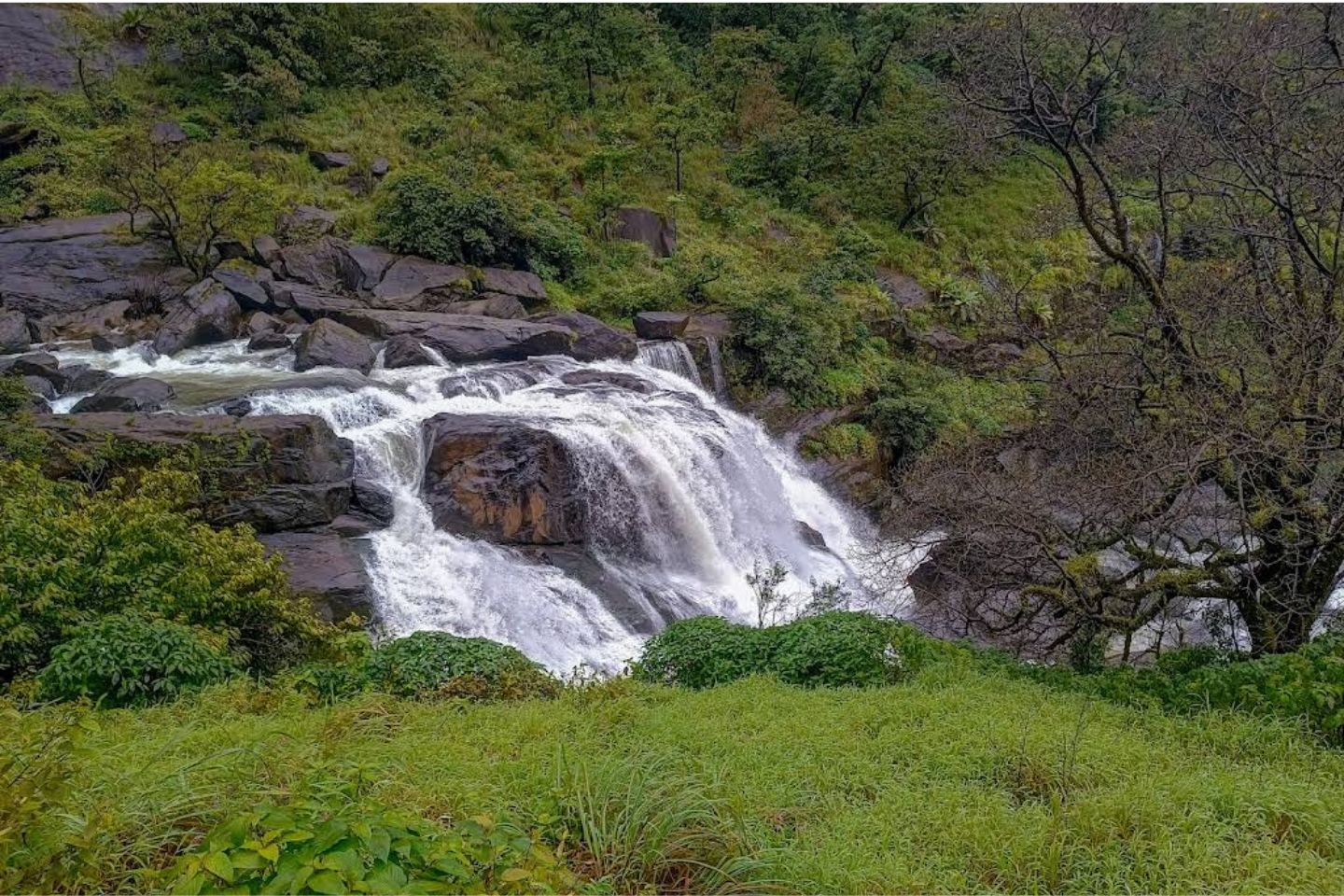 Mallalli Falls  Coorg (Entry Fee, Timings, Entry Ticket Cost, Price, Map & Distance)