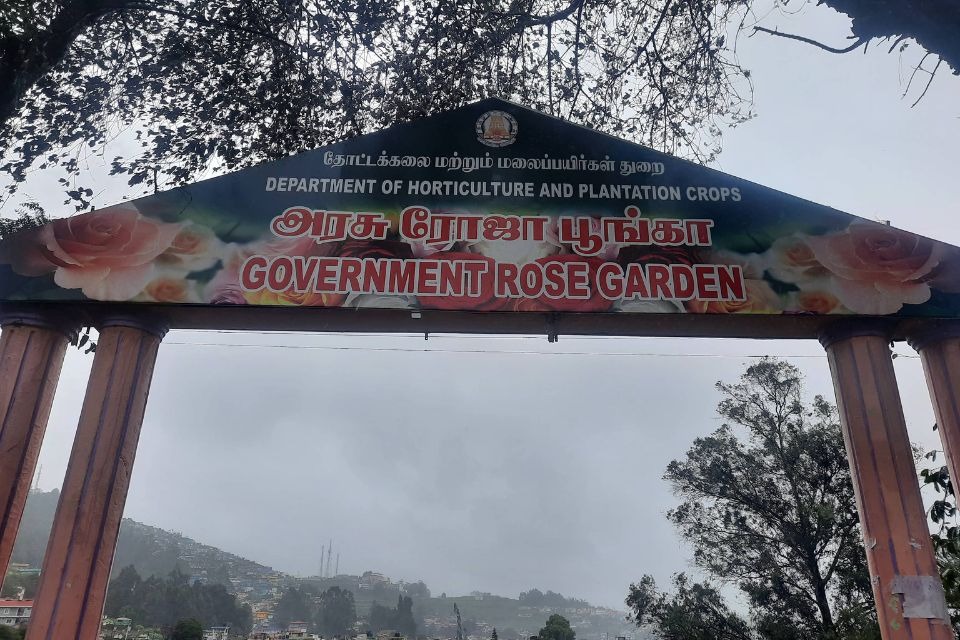 Rose Garden, Ooty